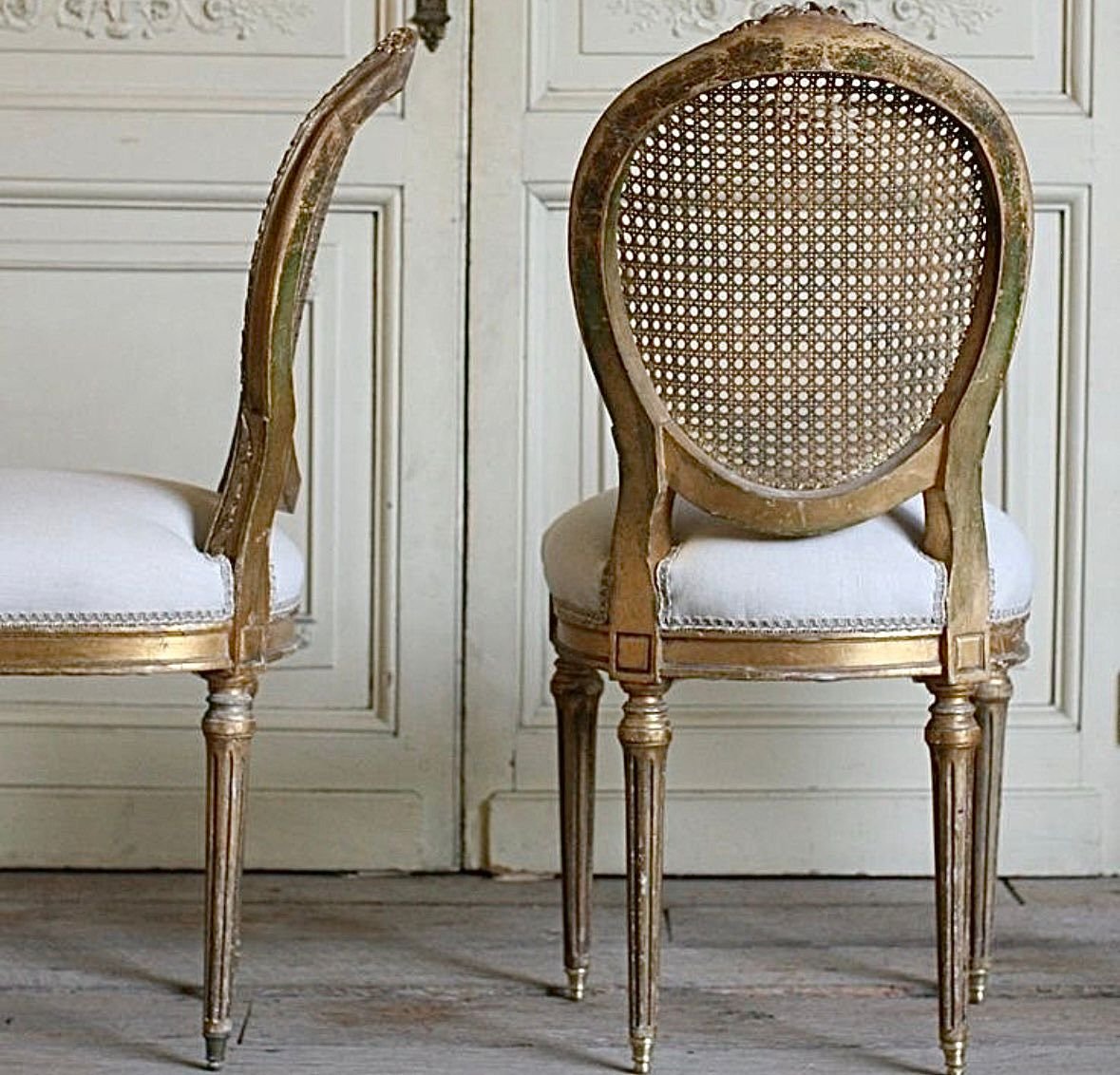 WhatsApp Image 2026-02-09 at 5.28.51 PM (2)