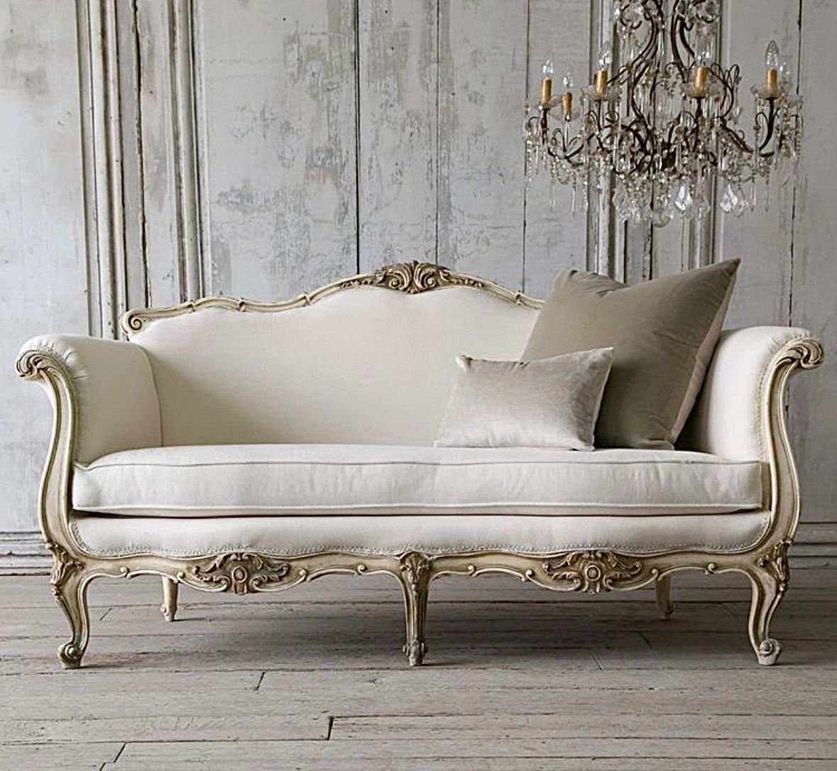 WhatsApp Image 2026-02-09 at 5.28.52 PM (1)