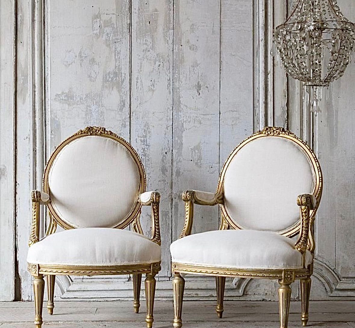 WhatsApp Image 2026-02-09 at 5.28.52 PM (2)