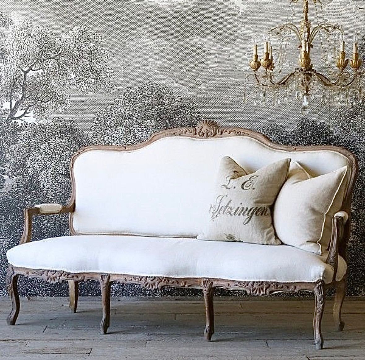 WhatsApp Image 2026-02-09 at 5.28.53 PM (1)